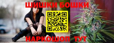 гашик Кунгур