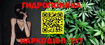 гашик Кунгур