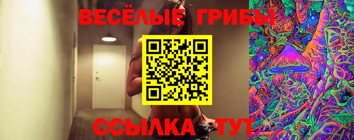 Геленджик  Псилоцибиновые грибы Magic Shrooms  Вход с VPN 